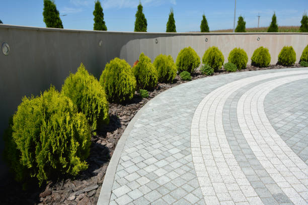 Reasons to Select Us for Your Driveway Paving Requirements in Kincaid, IL